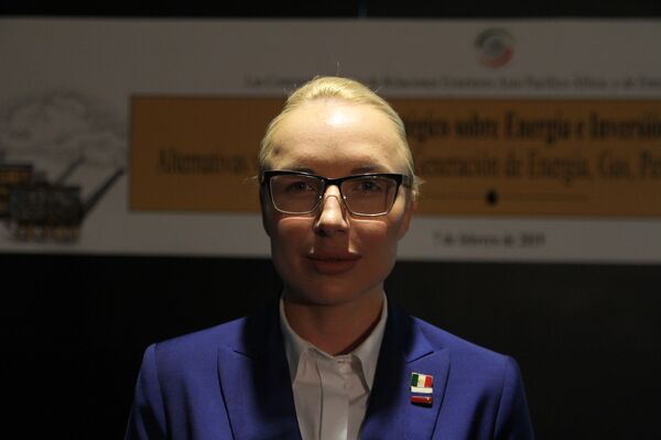 Anastasia Samarkina en el Foro estratégico sobre energía e inversión en el Senado mexicano Anastasia Samarkina en el Foro estratégico sobre energía e inversión en el Senado mexicano - Sputnik Mundo