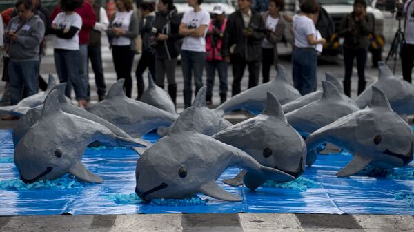 Una intervención de WWF por la vaquita marina - Sputnik Mundo