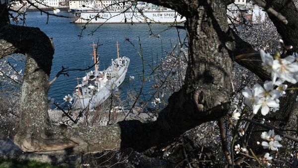 Un barco en Sebastopol, Crimea, Rusia - Sputnik Mundo