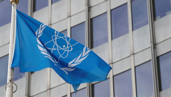 La bandera con el logo de la OIEA - Sputnik Mundo