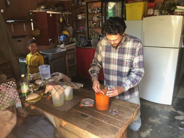 Silio se mudó de Caracas a la campiña; allí produce sus lácteos e incluso cría animales para tener fuente de proteína Silio se mudó de Caracas a la campiña; allí produce sus lácteos e incluso cría animales para tener fuente de proteína - Sputnik Mundo