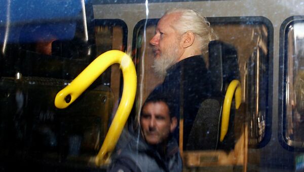 Julian Assange, fundador de WikiLeaks tras su detención por la Policía británica - Sputnik Mundo