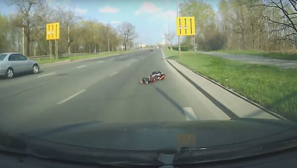 Un ciervo atropella a un motociclísta - Sputnik Mundo