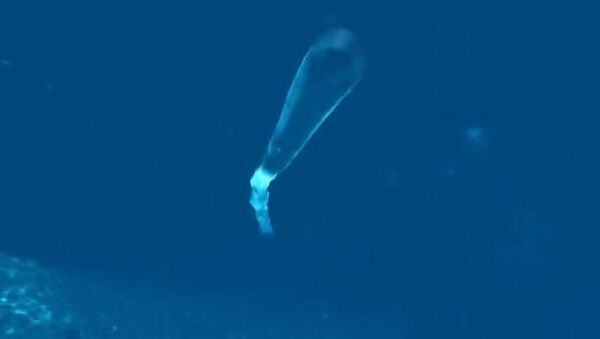 Dron submarino ruso Poseidon - Sputnik Mundo