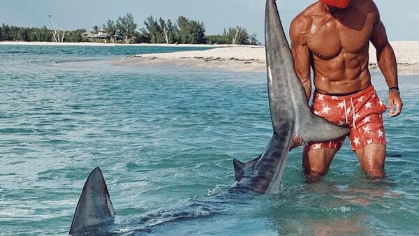 Elliot Sudal captura a un tiburón tigre - Sputnik Mundo
