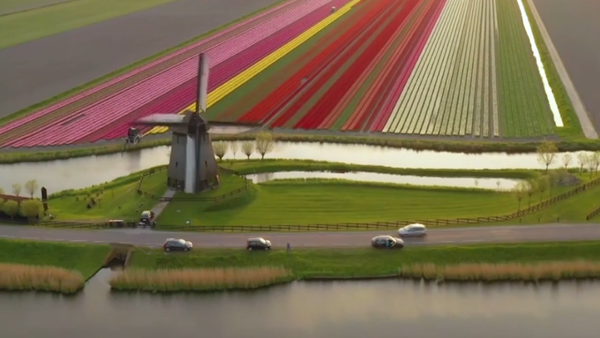 Campos de tulipanes en Holanda - Sputnik Mundo