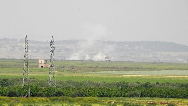 Ataques aéreos de la aviación siria en Hama - Sputnik Mundo