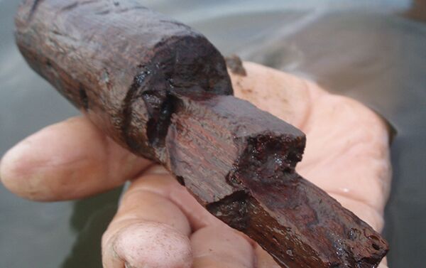 El mango de palisandro encontrado en la salina Ek Way Nal, Belice - Sputnik Mundo