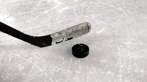 Un 'poc' y un palo de hockey sobre hielo - Sputnik Mundo