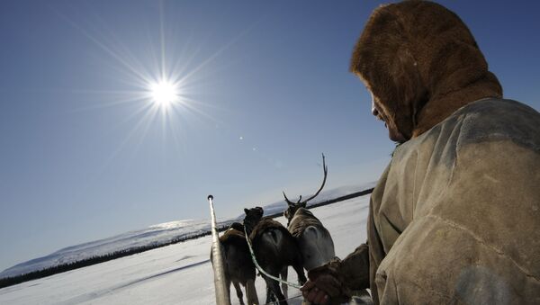 Fiesta de los pueblos del norte de Rusia en el Día del criador de renos - Sputnik Mundo