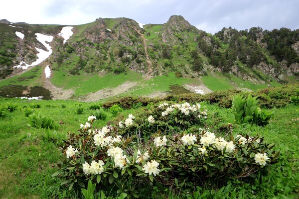 Viaje por el Cáucaso ruso: áreas recónditas del valle de Sofía
 - Sputnik Mundo