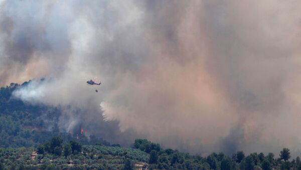 Incendio forestal en Cataluña - Sputnik Mundo