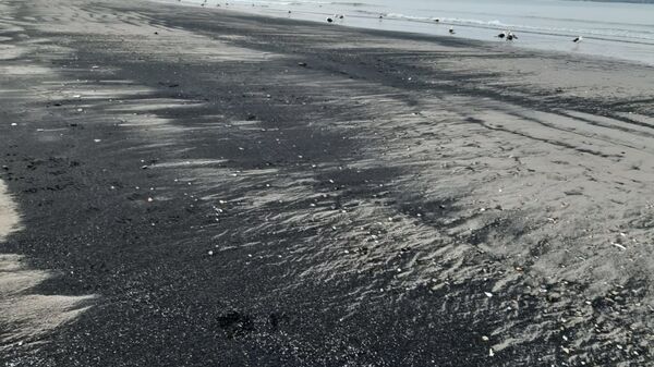 Varamietnos de carbón en la Bahía de Quintero, Chile - Sputnik Mundo