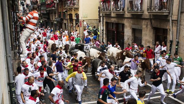 Los toros vuelven a recorrer las calles de Pamplona durante los Sanfermines
 - Sputnik Mundo
