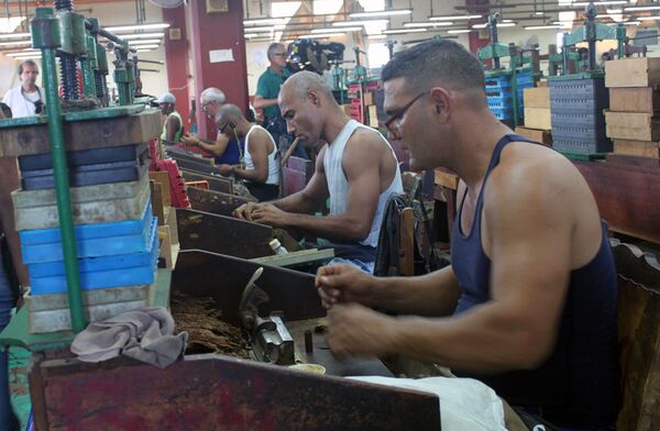 El habano, la tradición centenaria de Cuba que llega a todo el mundo El habano, la tradición centenaria de Cuba que llega a todo el mundo - Sputnik Mundo