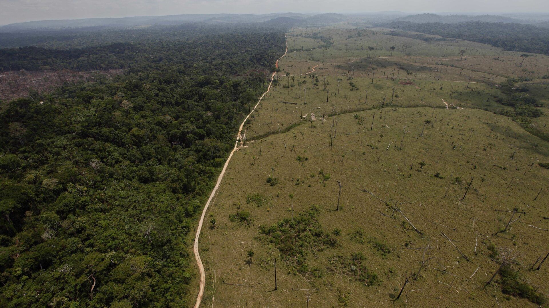 Una área deforestada en la Amazonía brasileña - Sputnik Mundo, 1920, 06.08.2021