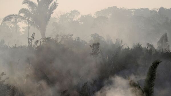 Los incendios en la Amazonía - Sputnik Mundo