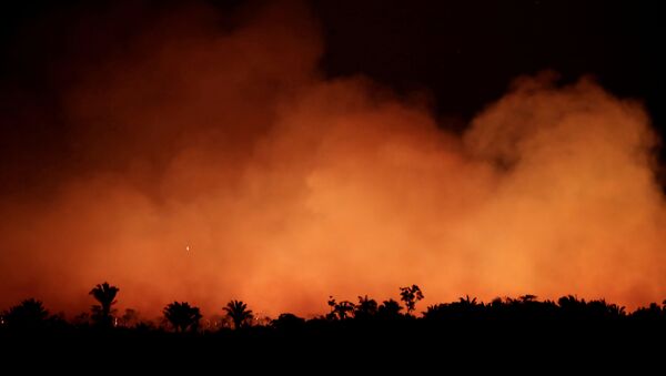 Incendios forestales en la Amazonía - Sputnik Mundo