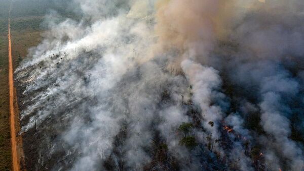 Incendios en la Amazonía  - Sputnik Mundo