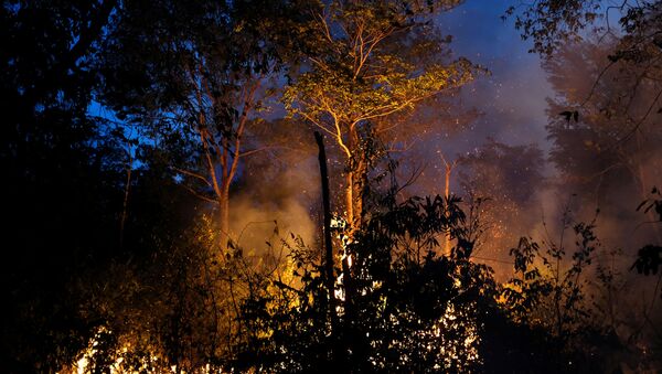 Incendios forestales en la Amazonía - Sputnik Mundo