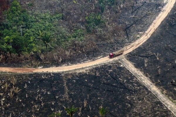 Tierra cubierta de cenizas: los incendios forestales en la Amazonía - Sputnik Mundo