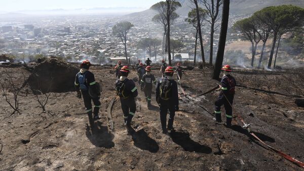 Extinción de incendios forestales en Sudáfrica (archivo) - Sputnik Mundo
