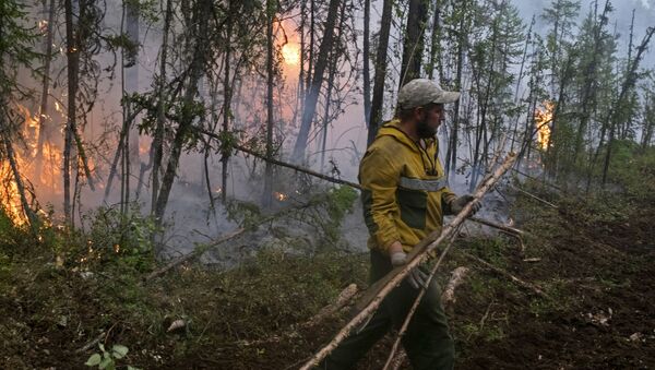 Lucha contra los incendios en bosques de Siberia - Sputnik Mundo