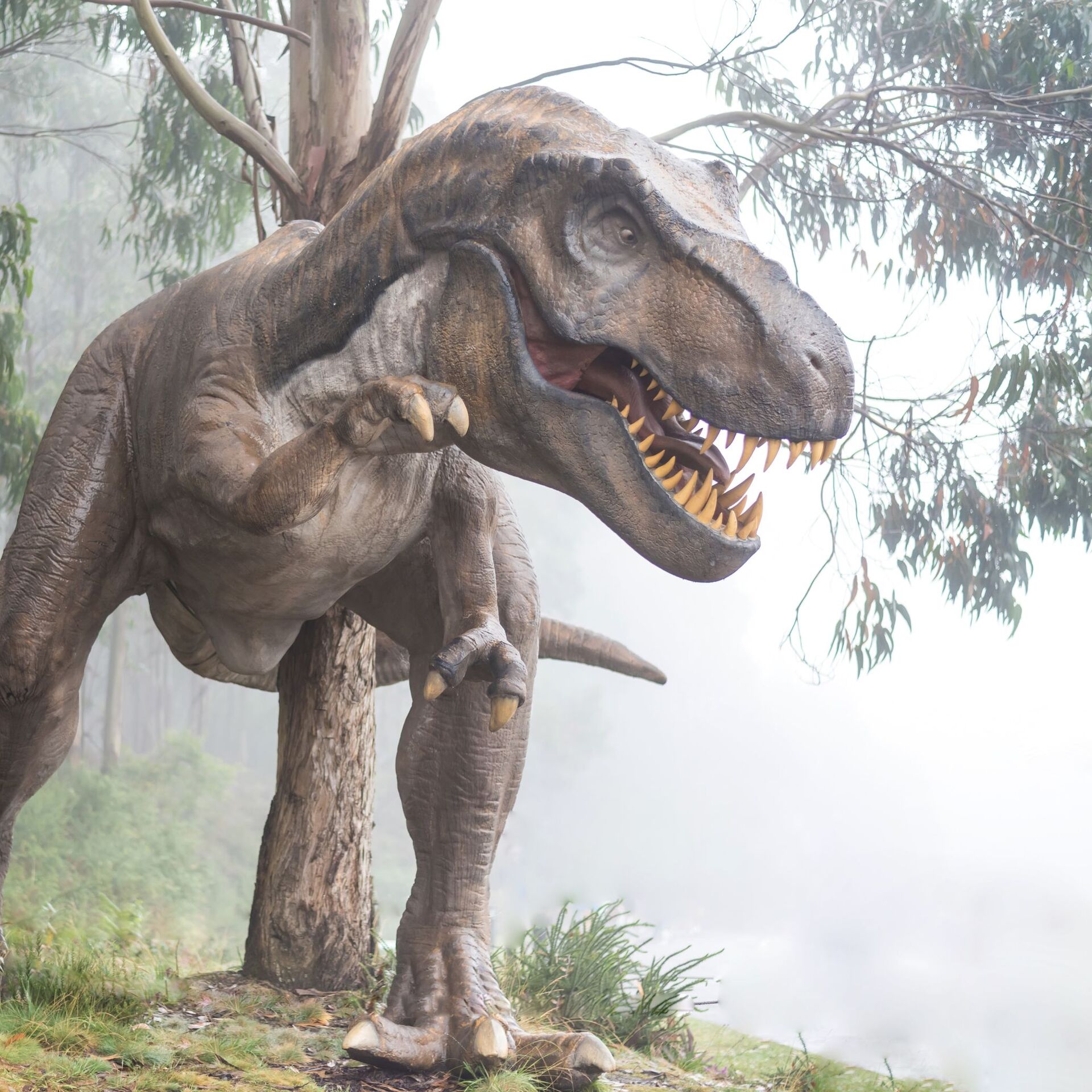 Un científico australiano augura un desastre peor que la extinción de los  dinosaurios , Sputnik Mundo