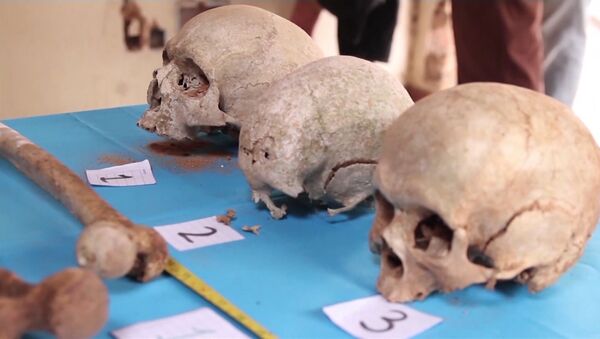 Conmoción en Paraguay por los restos humanos hallados en la finca del exdictador Stroessner - Sputnik Mundo