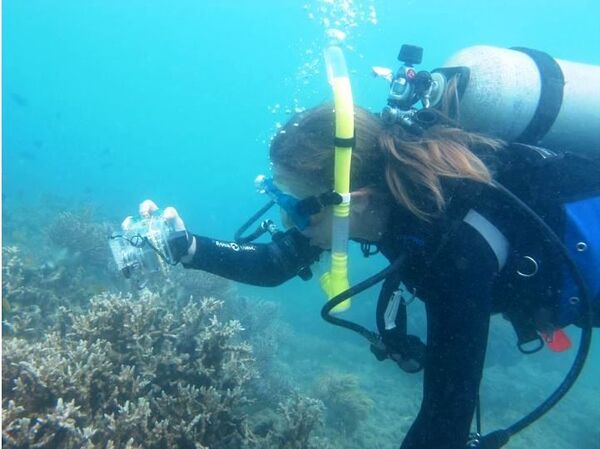 Malas noticias para Nemo: los arrecifes de coral están desapareciendo Malas noticias para Nemo: los arrecifes de coral están desapareciendo - Sputnik Mundo