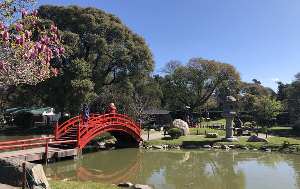 Jardín Japonés en Buenos Aires - Sputnik Mundo