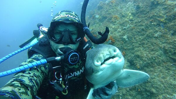 Rick Anderson y un tiburón de Port Jackson, en Australia - Sputnik Mundo