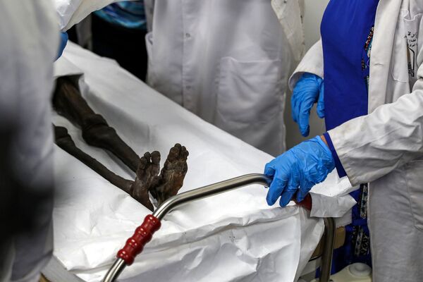 Подготовка мумии Сеннеджема к окуриванию в Египетском национальном музее - Sputnik Mundo
