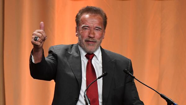 Arnold Schwarzenegger, actor austríaco nacionalizado estadounidense - Sputnik Mundo