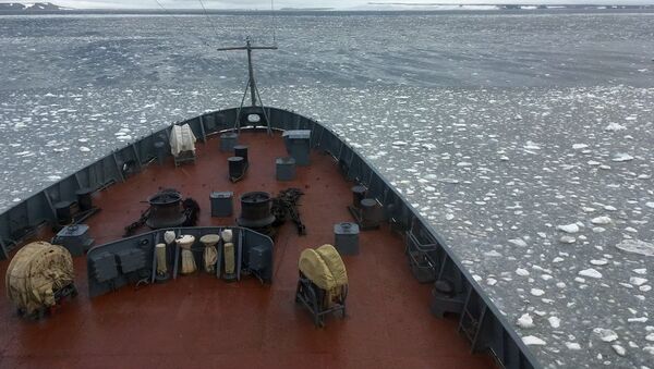 Altái, el barco de la expedición, rompe el hielo en las aguas del archipiélago Tierra de Francisco José - Sputnik Mundo