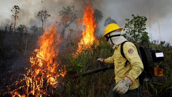 Bomberos brasileños luchan contra los incendios forestales en Amazonía - Sputnik Mundo