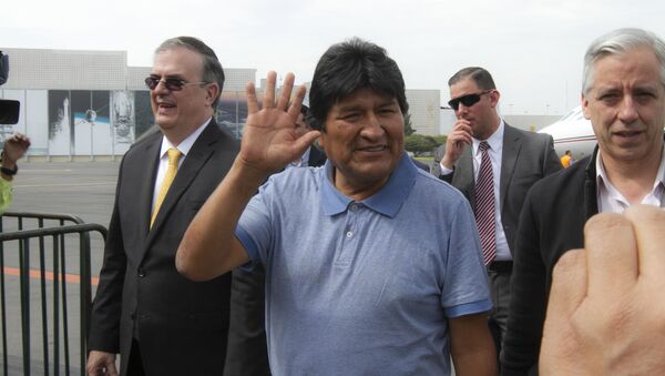 Evo Morales llega a México a recibir asilo tras su renuncia - Sputnik Mundo