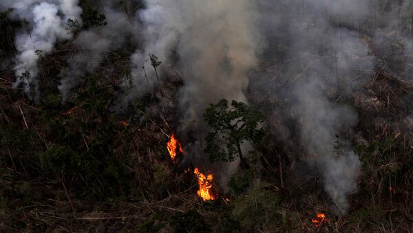 Incendio forestal en la Amazonía brasilena - Sputnik Mundo