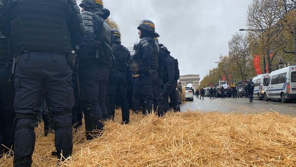 Protesta de agricultores en París - Sputnik Mundo