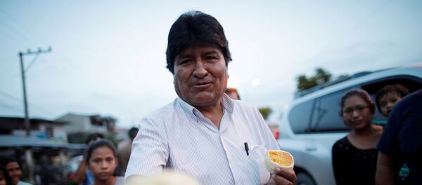 Evo Morales, depuesto presidente boliviano Evo Morales, depuesto presidente boliviano - Sputnik Mundo