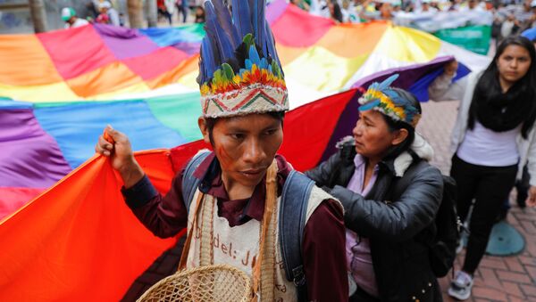 Indígenas con wiphala protestan en Bolivia - Sputnik Mundo