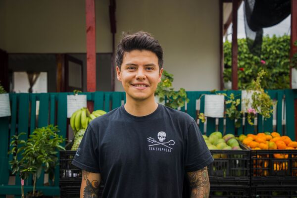 Waruwa, una 'startup' colombiana que revoluciona la distribución de frutas y hortalizas en Latinoamérica Waruwa, una 'startup' colombiana que revoluciona la distribución de frutas y hortalizas en Latinoamérica - Sputnik Mundo