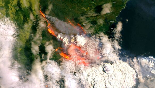 Una vista satelital de los incendios en Australia - Sputnik Mundo