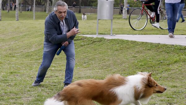 El presidente argentino, Alberto Fernández, juega con su perro Dylan  - Sputnik Mundo
