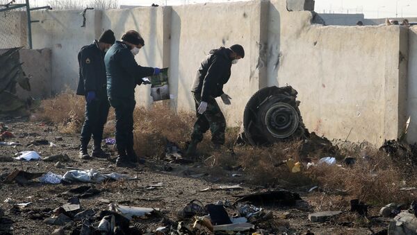 Спасатели на месте крушения самолета в Иране - Sputnik Mundo