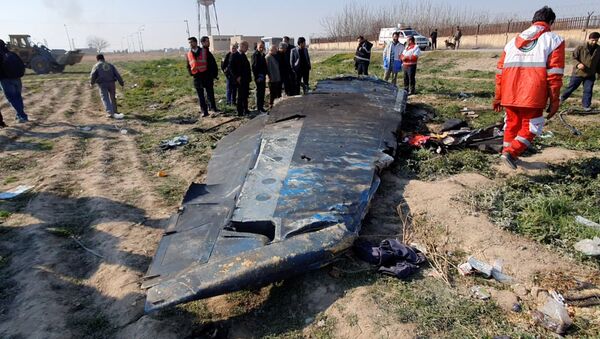 Fragmento del Boeing 737 siniestrado en Irán - Sputnik Mundo