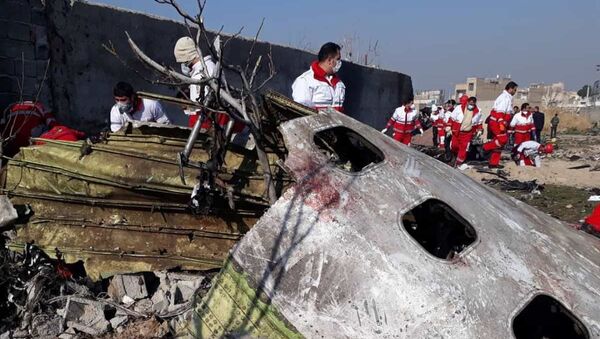 El Boeing 737-800 de Ukraine International Airlines derribado en Irán - Sputnik Mundo