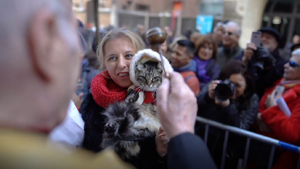 Centenares de tiernas mascotas son bendecidas en Madrid - Sputnik Mundo