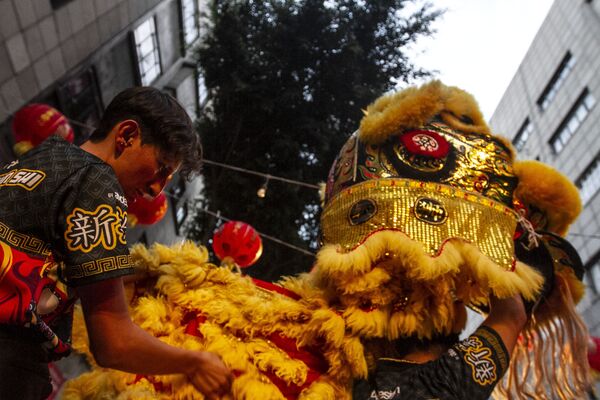 Un hombre se prepara para iniciar la danza del león en el barrio chino durante el festejo del Año Nuevo en la Ciudad de México. - Sputnik Mundo