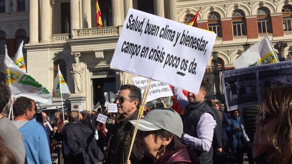 Los agricultores y ganaderos de España protagonizan una nueva jornada de protestas - Sputnik Mundo